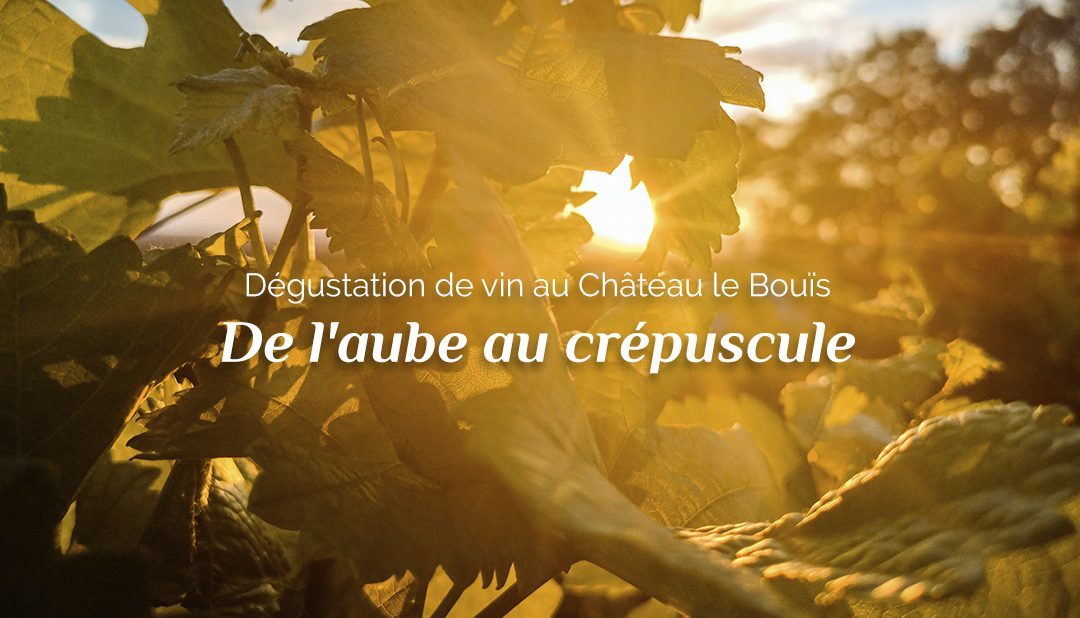 Dégustation de vin au Château le Bouïs : de l’aube au crépuscule