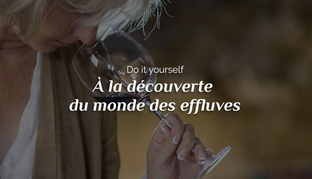 Do It Yourself : à la découverte du monde des effluves
