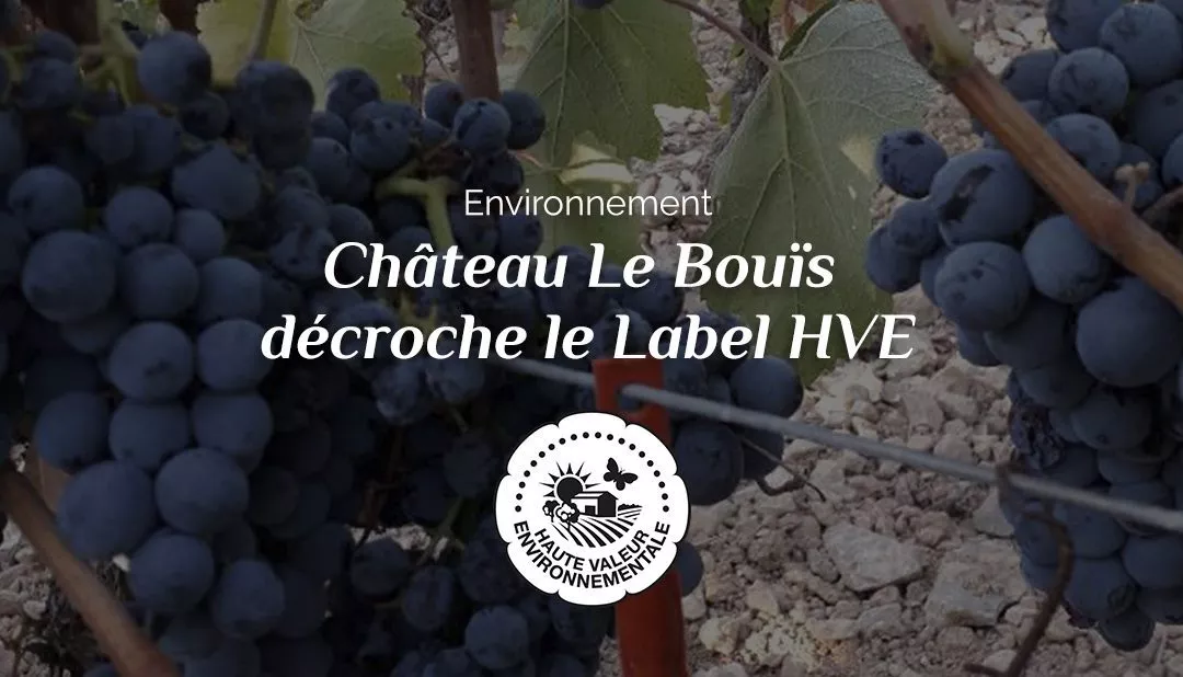 Château Le Bouïs décroche le Label HVE