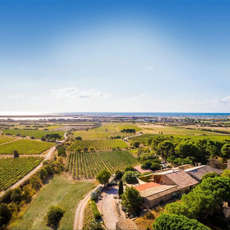 domaine_chateau_le_bouis